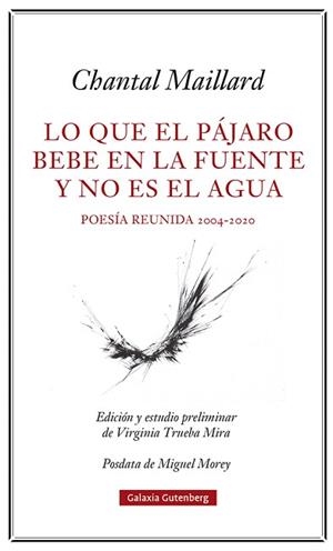 LO QUE EL PÁJARO BEBE EN LA FUENTE Y NO ES EL AGUA | 9788418807633 | MAILLARD, CHANTAL | Llibreria L'Illa - Llibreria Online de Mollet - Comprar llibres online