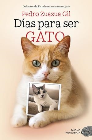 DÍAS PARA SER GATO | 9788417128524 | ZUAZUA GIL, PEDRO | Llibreria L'Illa - Llibreria Online de Mollet - Comprar llibres online
