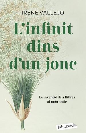 INFINIT DINS D'UN JONC, L' | 9788419107121 | VALLEJO, IRENE | Llibreria L'Illa - Llibreria Online de Mollet - Comprar llibres online