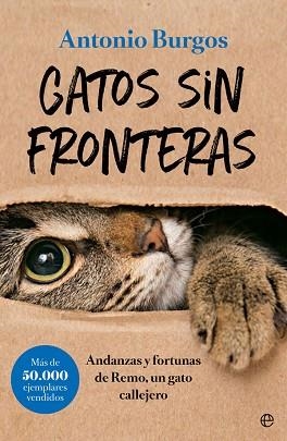 GATOS SIN FRONTERAS | 9788491644248 | BURGOS HERCE, ANTONIO