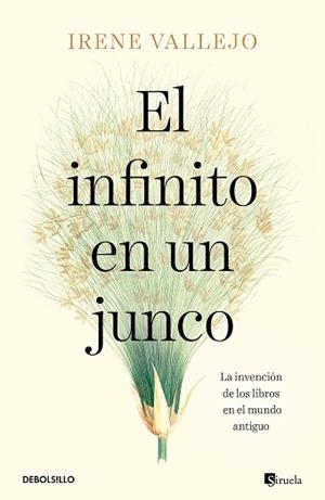 INFINITO EN UN JUNCO, EL | 9788466358293 | VALLEJO, IRENE | Llibreria L'Illa - Llibreria Online de Mollet - Comprar llibres online