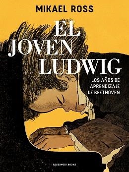 JOVEN LUDWIG, EL | 9788418052361 | ROSS, MIKAEL | Llibreria L'Illa - Llibreria Online de Mollet - Comprar llibres online