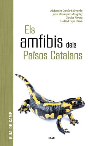AMFIBIS DELS PAÏSOS CATALANS, ELS | 9788418096341 | GARCÍA SALMERÓN, ALEJANDRO/MALUQUER MARGALEF, JOAN/RIVERA MULA, XAVIER/PUJOL BUXÓ, EUDALD | Llibreria L'Illa - Llibreria Online de Mollet - Comprar llibres online