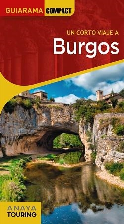 BURGOS | 9788491584964 | IZQUIERDO, PASCUAL | Llibreria L'Illa - Llibreria Online de Mollet - Comprar llibres online