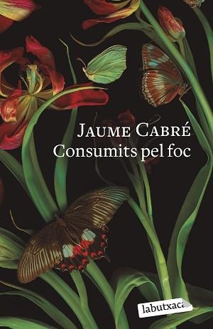 CONSUMITS PEL FOC | 9788419107206 | CABRÉ, JAUME | Llibreria L'Illa - Llibreria Online de Mollet - Comprar llibres online