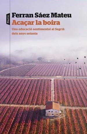 ACAÇAR LA BOIRA | 9788498095203 | SAEZ MATEU, FERRAN | Llibreria L'Illa - Llibreria Online de Mollet - Comprar llibres online