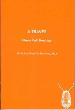 A TRAVÉS | 9788412457599 | COLL DOMINGO, GLÒRIA | Llibreria L'Illa - Llibreria Online de Mollet - Comprar llibres online