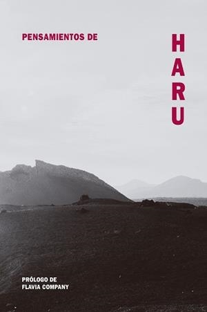 PENSAMIENTOS DE HARU | 9788418223495 | COMPANY, FLAVIA | Llibreria L'Illa - Llibreria Online de Mollet - Comprar llibres online