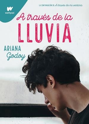 A TRAVÉS DE LA LLUVIA | 9788418483196 | GODOY, ARIANA | Llibreria L'Illa - Llibreria Online de Mollet - Comprar llibres online