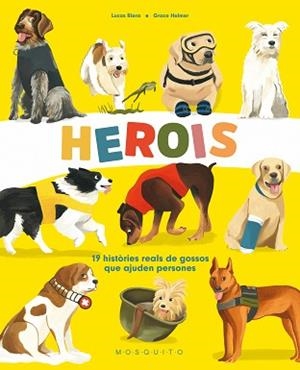 HEROIS | 9788419095046 | RIERA, LUCAS | Llibreria L'Illa - Llibreria Online de Mollet - Comprar llibres online