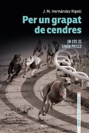 PER UN GRAPAT DE CENDRES | 9788418096440 | HERNÁNDEZ RIPOLL, JOSEP M | Llibreria L'Illa - Llibreria Online de Mollet - Comprar llibres online