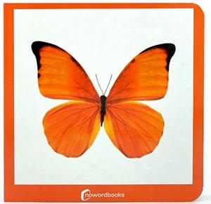 NARANJA | 9788412534443 | NOWORDBOOKS | Llibreria L'Illa - Llibreria Online de Mollet - Comprar llibres online