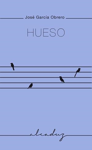 HUESO | 9788412580815 | GARCÍA OBRERO, JOSÉ | Llibreria L'Illa - Llibreria Online de Mollet - Comprar llibres online