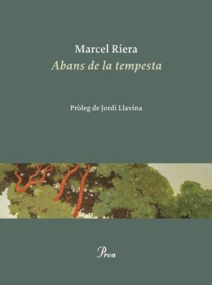 ABANS DE LA TEMPESTA | 9788475889900 | RIERA BOU, MARCEL | Llibreria L'Illa - Llibreria Online de Mollet - Comprar llibres online