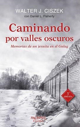 CAMINANDO POR VALLES OSCUROS | 9788490611845 | CISZEK, WALTER J./FLAHERTY, DANIEL L. | Llibreria L'Illa - Llibreria Online de Mollet - Comprar llibres online