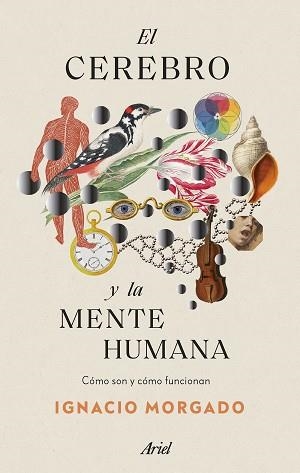 CEREBRO Y LA MENTE HUMANA, EL | 9788434435988 | MORGADO, IGNACIO | Llibreria L'Illa - Llibreria Online de Mollet - Comprar llibres online