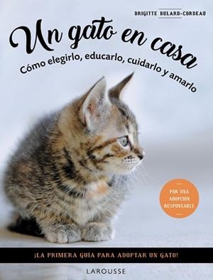 GATO EN CASA, UN | 9788419436092 | BULARD-CORDEAU, BRIGITTE | Llibreria L'Illa - Llibreria Online de Mollet - Comprar llibres online
