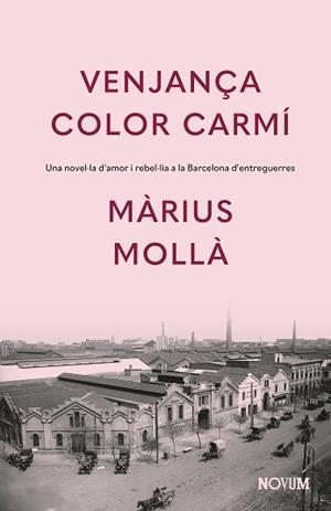 VENJANÇA COLOR CARMÍ | 9788419311771 | MOLLÀ, MÀRIUS | Llibreria L'Illa - Llibreria Online de Mollet - Comprar llibres online