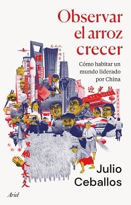 OBSERVAR EL ARROZ CRECER | 9788434436022 | CEBALLOS, JULIO | Llibreria L'Illa - Llibreria Online de Mollet - Comprar llibres online