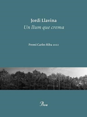 LLUM QUE CREMA, UN | 9788475889979 | LLAVINA, JORDI