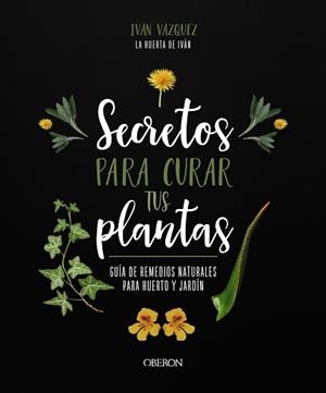 SECRETOS PARA CURAR TUS PLANTAS | 9788441547162 | VÁZQUEZ MUÑOZ, IVÁN | Llibreria L'Illa - Llibreria Online de Mollet - Comprar llibres online