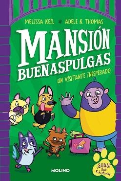 MANSIÓN BUENASPULGAS 1  | 9788427233324 | KEIL, MELISSA | Llibreria L'Illa - Llibreria Online de Mollet - Comprar llibres online