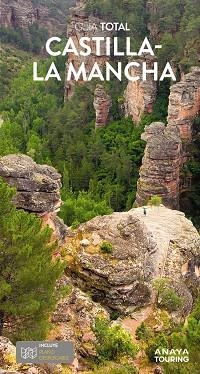 CASTILLA-LA MANCHA | 9788491584742 | GILES PACHECO, FERNANDO DE/RAMOS CAMPOS, ALFREDO/AVISÓN MARTÍNEZ, JUAN PABLO/JIMÉNEZ GARCÍA-HERRERO, | Llibreria L'Illa - Llibreria Online de Mollet - Comprar llibres online