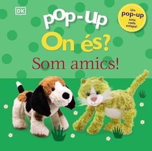 POP-UP ON ÉS SOM AMICS! | 9788413492162 | SIRETT, DAWN | Llibreria L'Illa - Llibreria Online de Mollet - Comprar llibres online