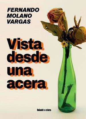 VISTA DESDE UNA ACERA | 9788412580372 | MOLANO VARGAS, FERNANDO