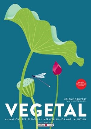 VEGETAL | 9788419110886 | DRUVERT, HÉLÈNE | Llibreria L'Illa - Llibreria Online de Mollet - Comprar llibres online
