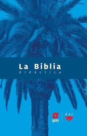 BIBLIA DIDÁCTICA, LA | 9788413183039 | VARIOS AUTORES
