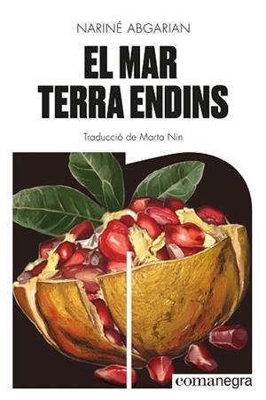 MAR TERRA ENDINS, EL | 9788419590343 | ABGARIAN, NARINÉ | Llibreria L'Illa - Llibreria Online de Mollet - Comprar llibres online