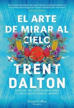 ARTE DE MIRAR AL CIELO, EL | 9788491398639 | DALTON, TRENT | Llibreria L'Illa - Llibreria Online de Mollet - Comprar llibres online
