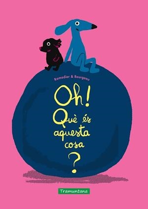 OH QUÈ ÉS AQUESTA COSA? | 9788418520587 | RAMADIER, CÉDRIC