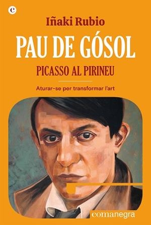 PAU DE GÓSOL. PICASSO AL PIRINEU | 9788419590404 | RUBIO, IÑAKI | Llibreria L'Illa - Llibreria Online de Mollet - Comprar llibres online