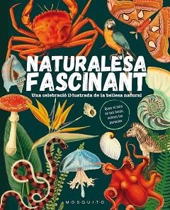 NATURALESA FASCINANT | 9788419095596 | MOSQUITO BOOKS | Llibreria L'Illa - Llibreria Online de Mollet - Comprar llibres online
