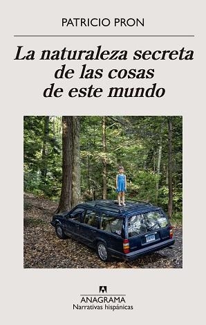 NATURALEZA SECRETA DE LAS COSAS DE ESTE MUNDO, LA | 9788433911186 | PRON, PATRICIO | Llibreria L'Illa - Llibreria Online de Mollet - Comprar llibres online