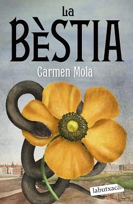 BÈSTIA, LA | 9788419107862 | MOLA, CARMEN | Llibreria L'Illa - Llibreria Online de Mollet - Comprar llibres online