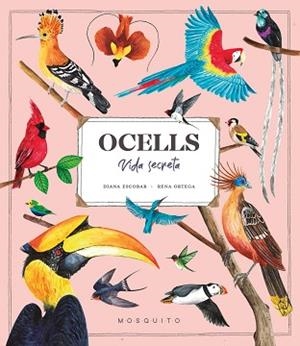 OCELLS. VIDA SECRETA | 9788419095534 | ESTEBAN, DIANA | Llibreria L'Illa - Llibreria Online de Mollet - Comprar llibres online