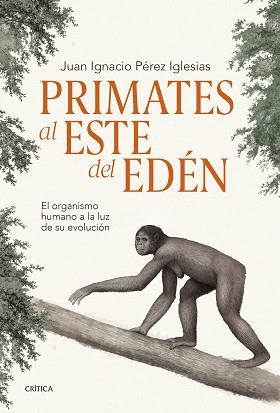 PRIMATES AL ESTE DEL EDÉN | 9788491995869 | PÉREZ IGLESIAS, JUAN IGNACIO | Llibreria L'Illa - Llibreria Online de Mollet - Comprar llibres online