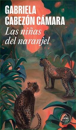 NIÑAS DEL NARANJEL, LAS | 9788439742630 | CABEZÓN CÁMARA, GABRIELA | Llibreria L'Illa - Llibreria Online de Mollet - Comprar llibres online