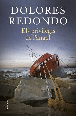 PRIVILEGIS DE L'ÀNGEL, ELS | 9788466431224 | REDONDO, DOLORES | Llibreria L'Illa - Llibreria Online de Mollet - Comprar llibres online