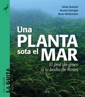 PLANTA SOTA EL MAR, UNA | 9788418096747 | DUÑACH, SÒNIA/GARRIGÓS, BERNAT/WEITZMANN, BORIS | Llibreria L'Illa - Llibreria Online de Mollet - Comprar llibres online