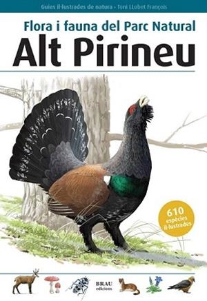 FLORA I FAUNA DEL PARC NATURAL ALT PIRINEU | 9788496905153 | LLOBET, TONI | Llibreria L'Illa - Llibreria Online de Mollet - Comprar llibres online