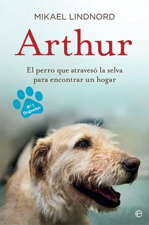 ARTHUR | 9788490609798 | LINDNORD, MIKAEL | Llibreria L'Illa - Llibreria Online de Mollet - Comprar llibres online
