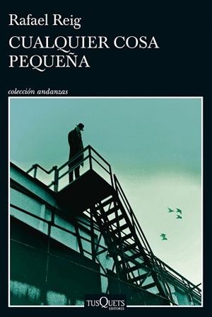 CUALQUIER COSA PEQUEÑA | 9788411074728 | REIG, RAFAEL | Llibreria L'Illa - Llibreria Online de Mollet - Comprar llibres online