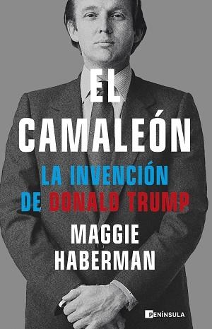 CAMALEÓN, EL | 9788411002820 | HABERMAN, MAGGIE | Llibreria L'Illa - Llibreria Online de Mollet - Comprar llibres online