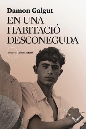 EN UNA HABITACIÓ DESCONEGUDA | 9788412801040 | GALGUT, DAMON | Llibreria L'Illa - Llibreria Online de Mollet - Comprar llibres online