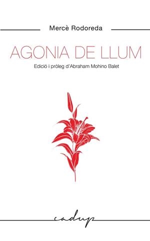 AGONIA DE LLUM | 9788412455748 | RODOREDA GURGUI, MERCÈ | Llibreria L'Illa - Llibreria Online de Mollet - Comprar llibres online