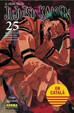 JUJUTSU KAISEN 25 CATALA | 9788467969979 | AKUTAMI, GEGE | Llibreria L'Illa - Llibreria Online de Mollet - Comprar llibres online